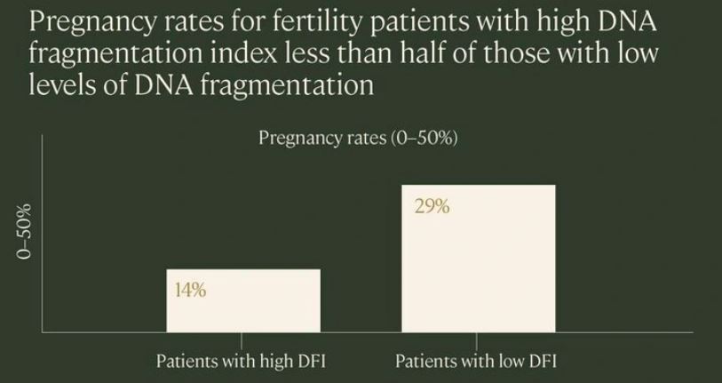 Sperm DNA Fragmentation and Pregnancy Outcome