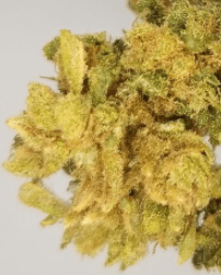 sour space candy strain bud