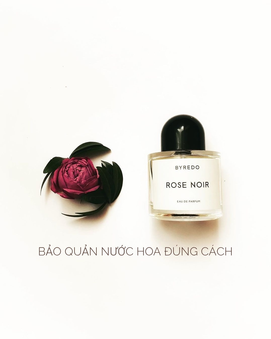 Hạn sử dụng của rượu mùi Hiểu rõ và sử dụng đúng cách