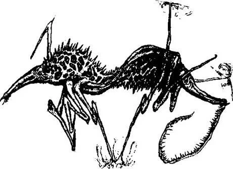 D:\0 wd yedek\acr yedek\1 film indirme\forbidden_magic_ancients_12_dosyalar\image032.jpg