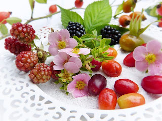 immune-system
