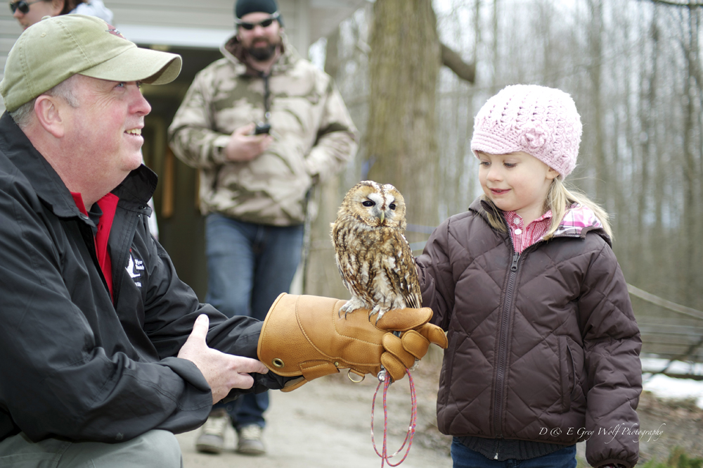 Birds of Prey Demonstration