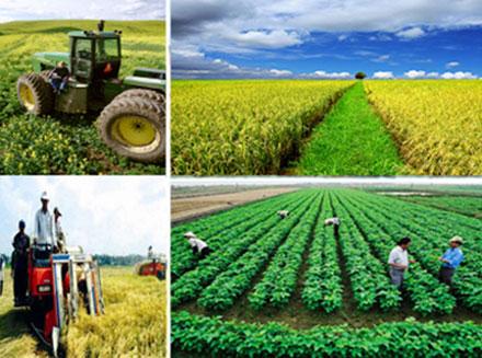 3. Tổng quan về việc làm ngành Nông nghiệp trên toàn thế giới: