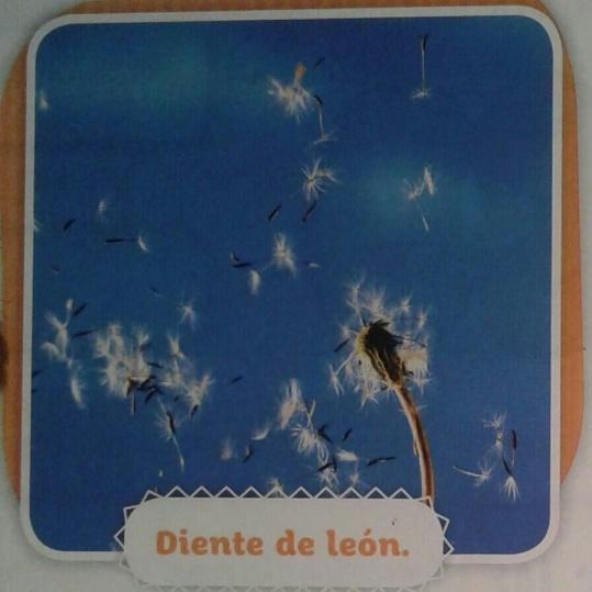 C:\Users\Matias\Downloads\20210609_164704-1-1DISPERSION.jpg