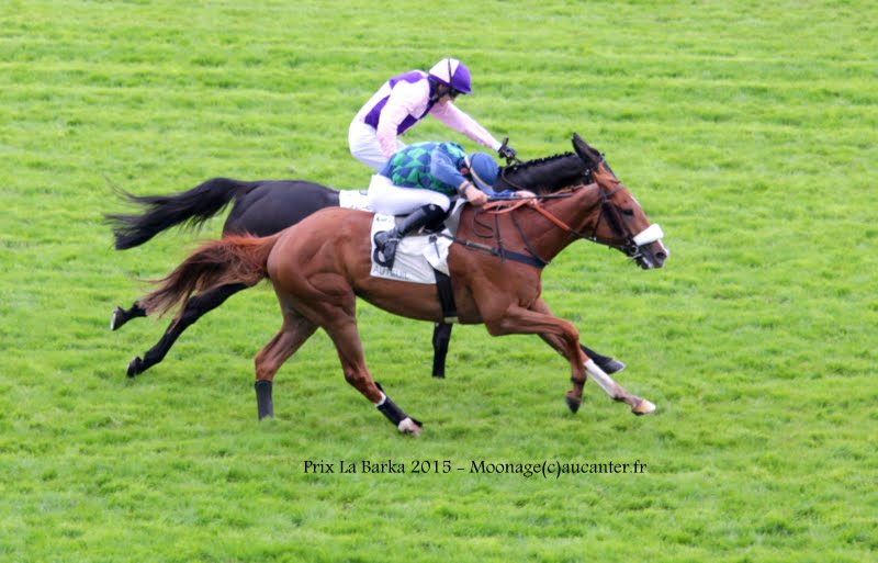 Photos Auteuil 16-05-2015 Week-end printanier de l'obstacle GmpzDF4Di_p1mN2QTYCTbFK7Ig51oC_tN0OT8u194bkx=w800-h513-no