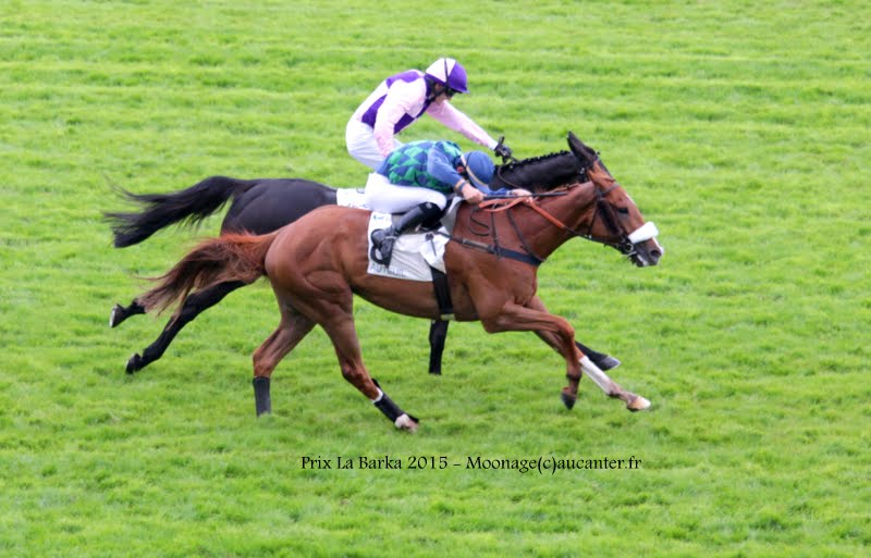 Photos Auteuil 16-05-2015 Week-end printanier de l'obstacle  GmpzDF4Di_p1mN2QTYCTbFK7Ig51oC_tN0OT8u194bkx=w800-h513-no