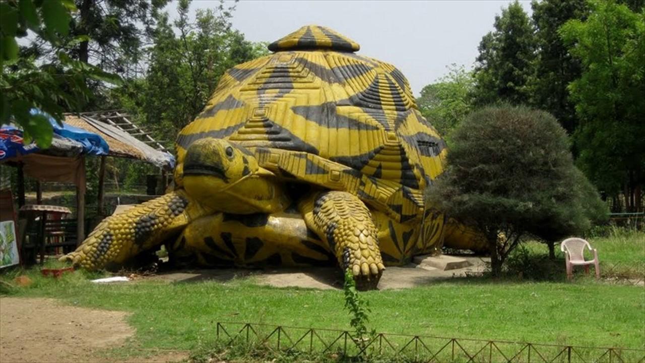Tata Steel Zoological Park, Jamshedpur ©: tripadvisor.com