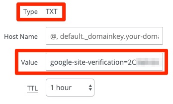 dns txt record