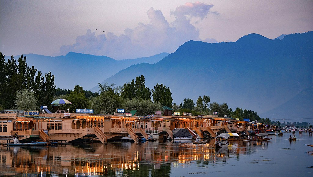 UnCrushedLeaves-Srinagar