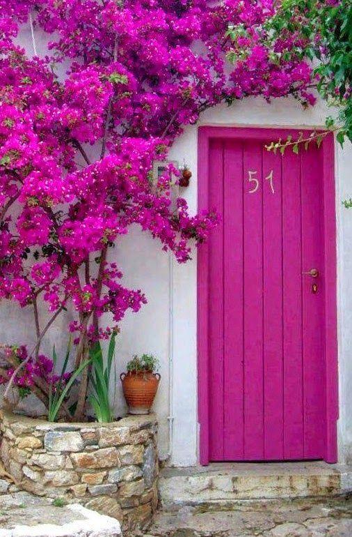 Frente de casa com porta pink e plantas pink compondo a decoração.