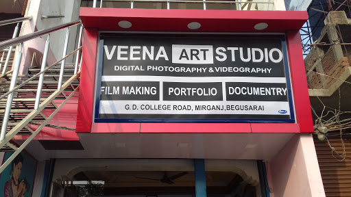 Veena Art Studio