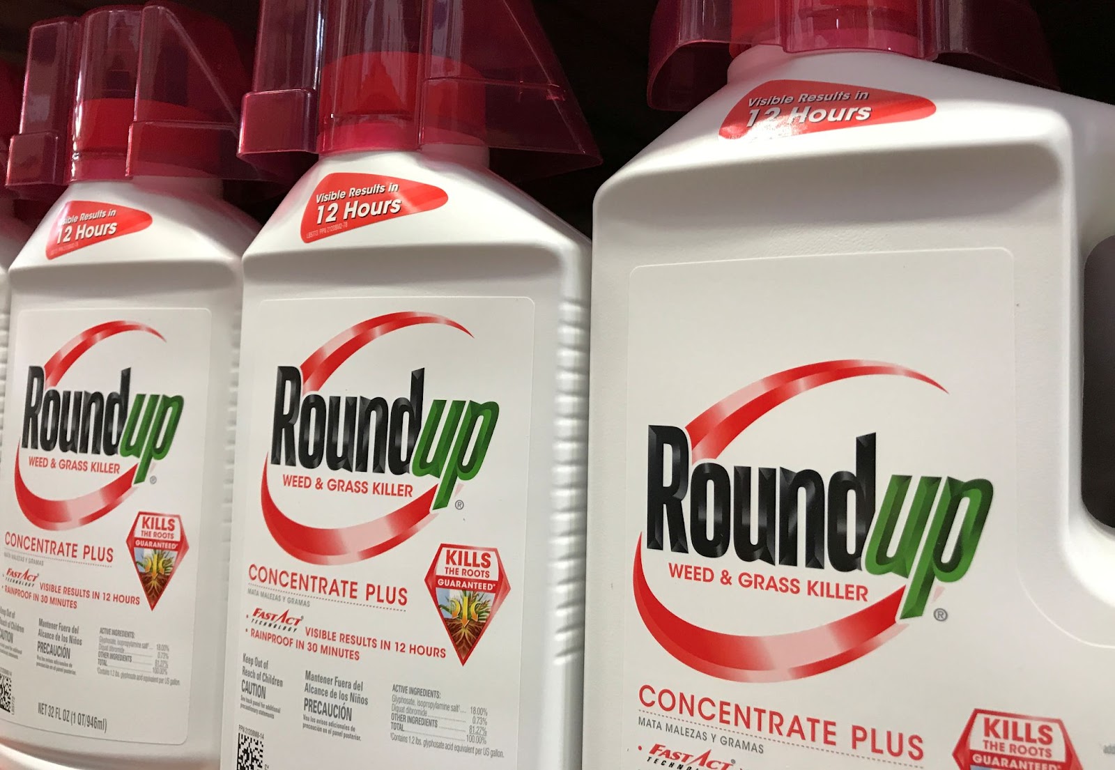 Roundup