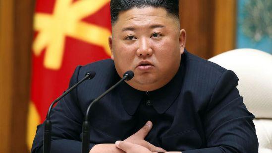 日本媒体发文说金正恩可能变成了“植物人”