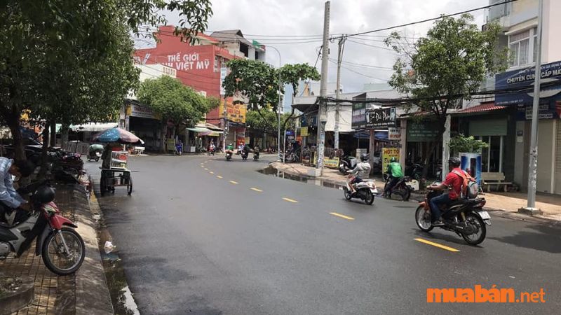  Đường Tân Hương khá thông thoáng và rộng rãi