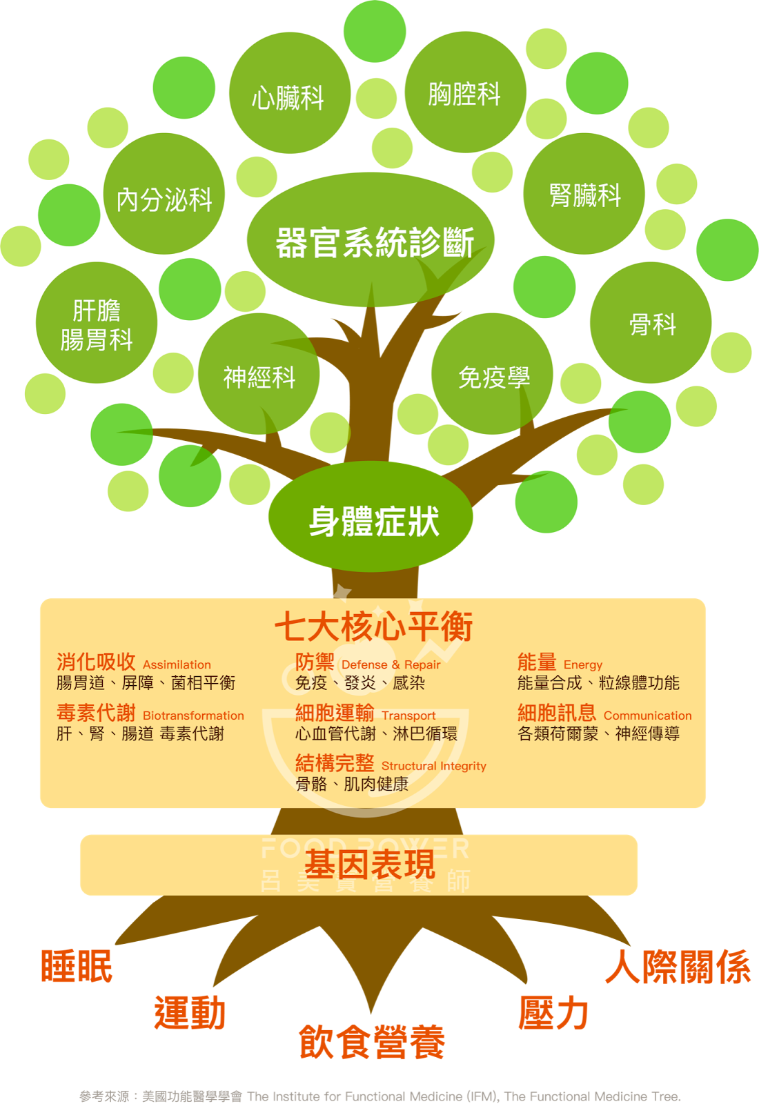 用功能醫學改善代謝失衡，遠離慢性疾病