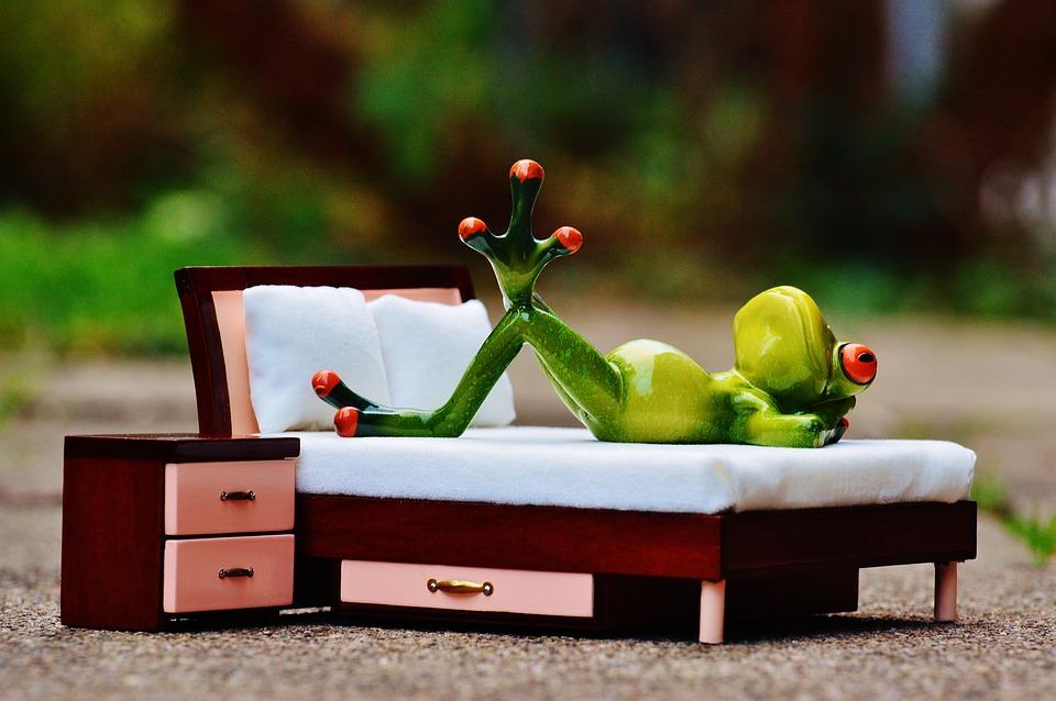 Frog Love Thoughts - Free photo on Pixabay