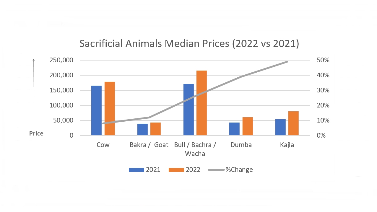 sacrificial-animals-pride-comparison-2022-vs-2021