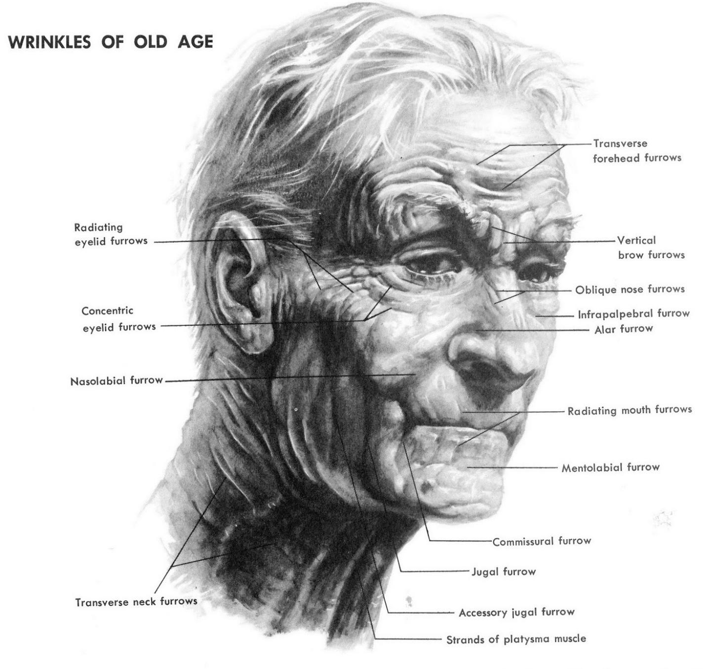 Vẽ người già là một kỹ năng muôn thuở cho các họa sĩ. Hãy xem qua hình ảnh này để cùng tìm hiểu về cách triển khai và khắc họa bề ngoài cũng như cảm xúc của người già trên trang giấy.