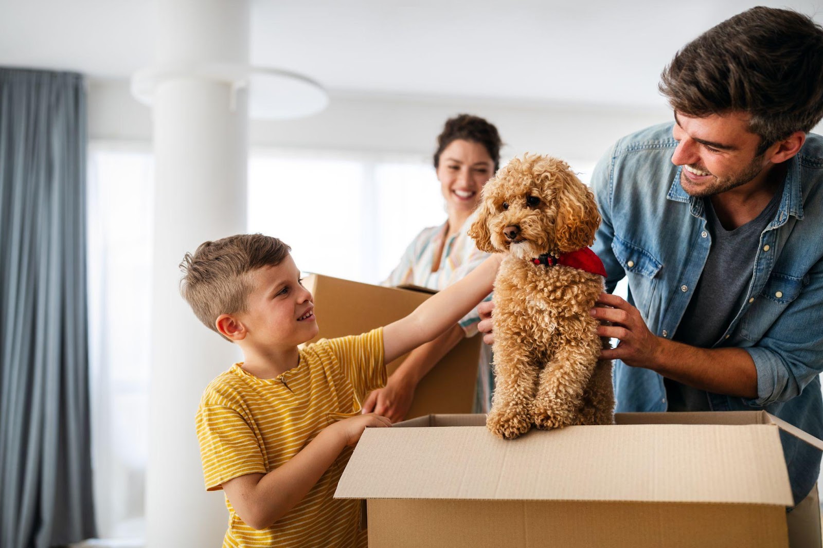Ultimate Guide for Relocating a Home with a Pet