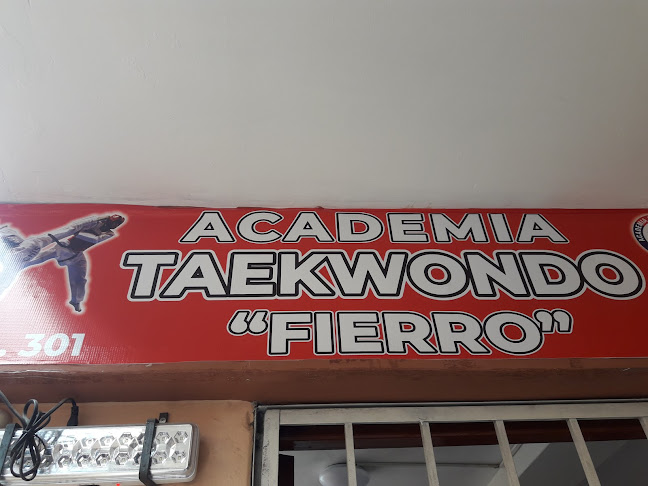 Fierro - Centro comercial