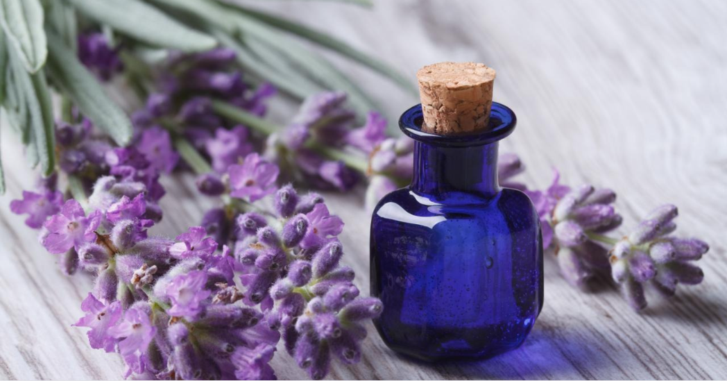 Homemade Body Wash With Essential Oils