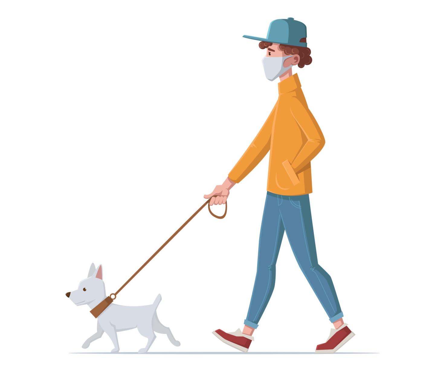 How Often Do You Walk Your Dog