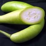 Bottle Gourd