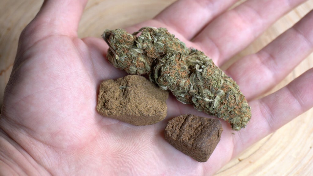 Potent hashish in small pieces.