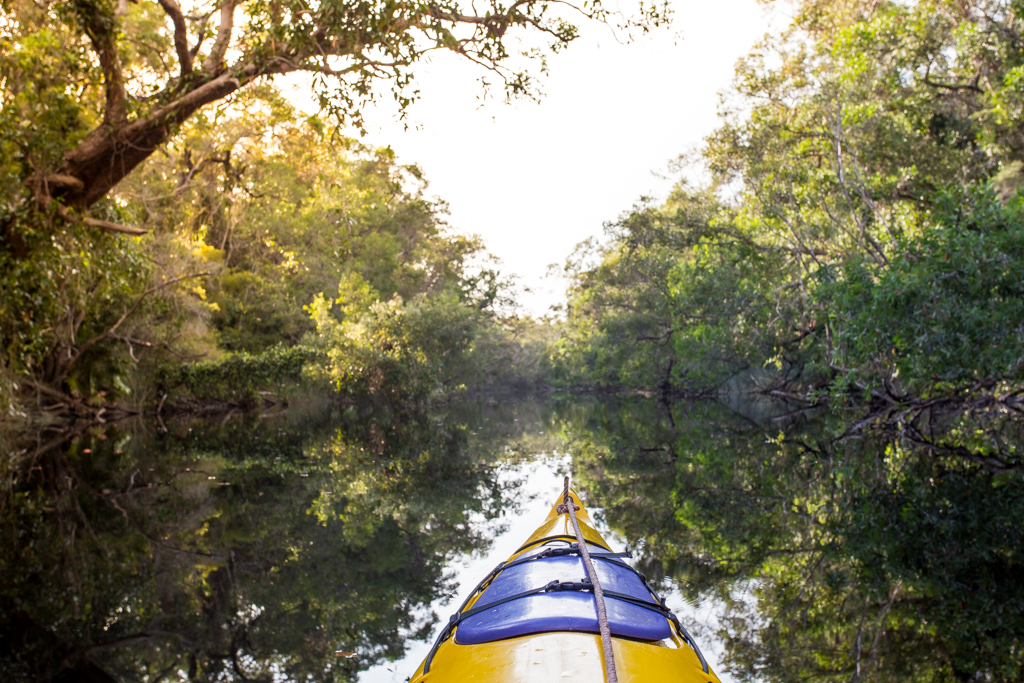 Noosa Everglades