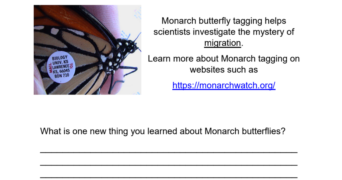 monarch butterfly.pdf