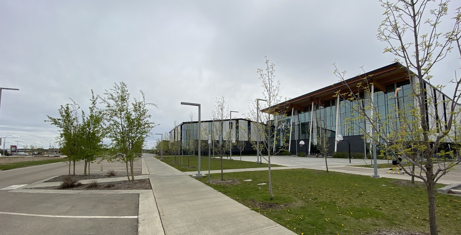 meadows community pool
