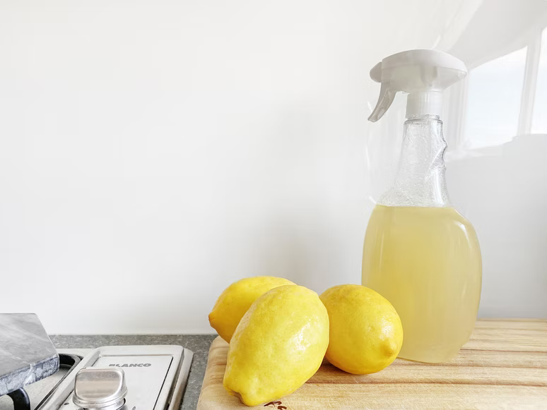 How to clean a washing machine drum lemon and vinegar image
