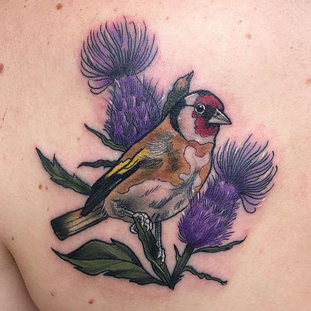 Scottish Tattoos Ideas Bird Design 
