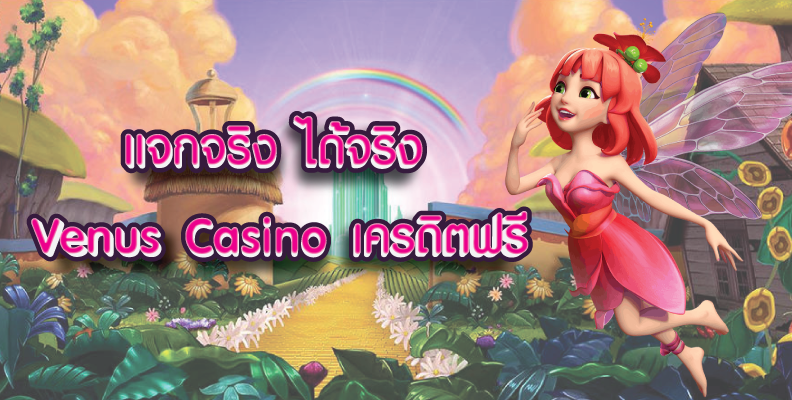 Venus Casino เว็บตรง