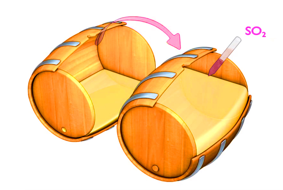 Sản xuất rượu vang
