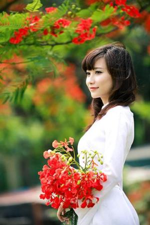 Image result for mùa hoa đỏ