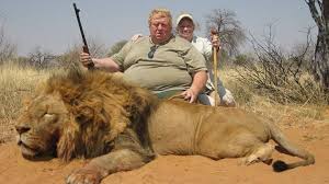 Image result for animal hunting