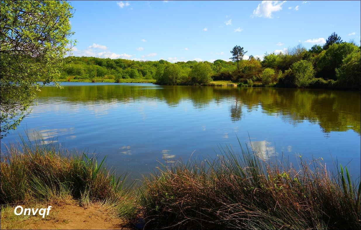 ob_b5d4a9_lac-de-bedorede-biorrotte-10.JPG