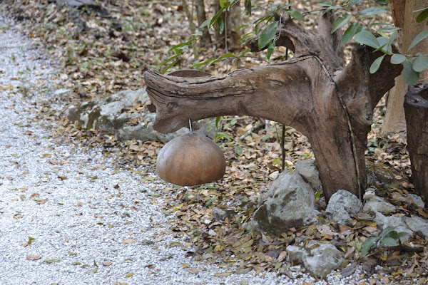 Мексика. И станут направления дорогами.