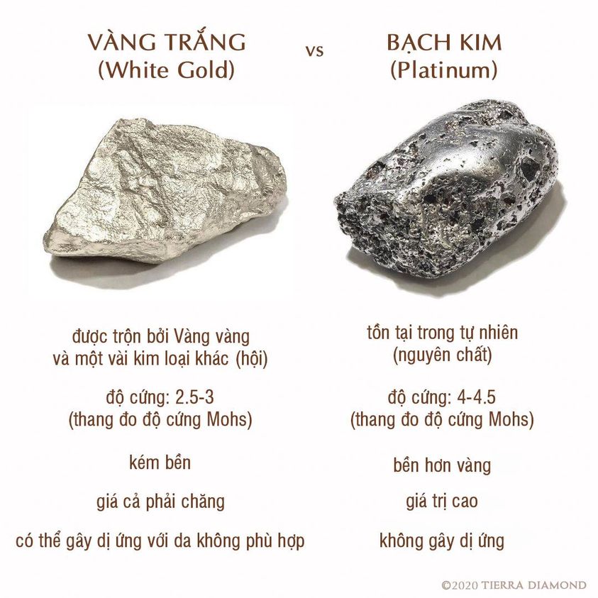 Top mẫu nhẫn cưới vàng trắng & bạch kim, nhẫn cặp, nhẫn nam & nhẫn nữ