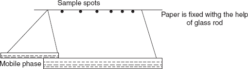 Ascending and descending chromatography development