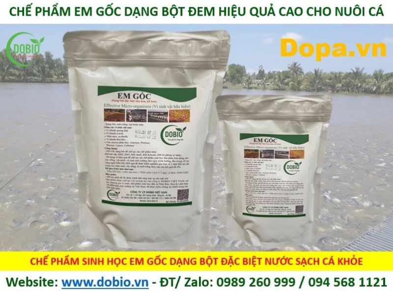 Chế phẩm sinh học EM gốc dạng bột