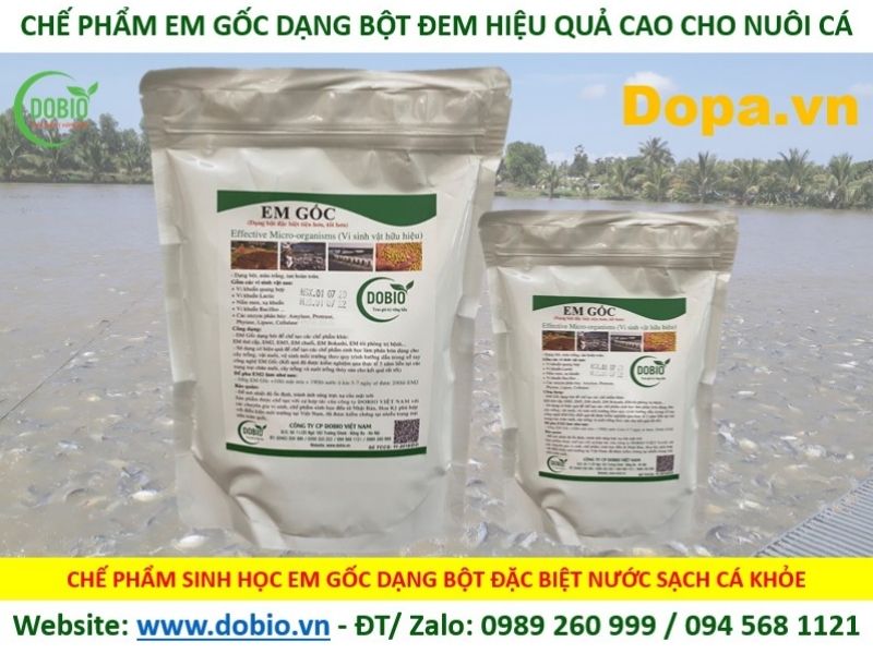 Chế phẩm sinh học EM gốc dạng bột