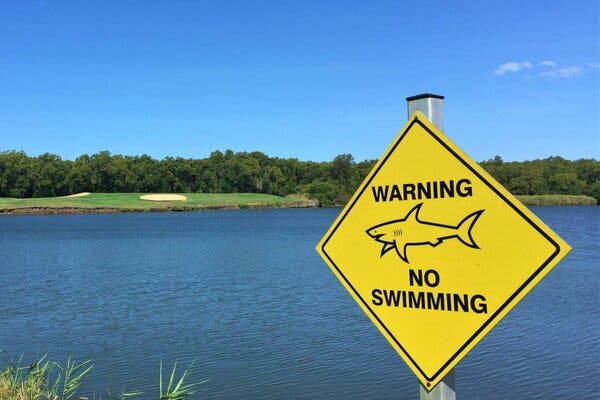 A yellow sign next to the lake at the Carbrook Golf Club has a drawing of a shark with the words "Warning, no swimming.”