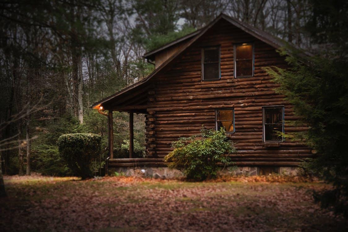 Free Brown Cabin in the Woods on Daytime Stock Photo