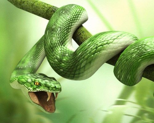 Giấc mơ về rắn có thực sự đáng sợ
