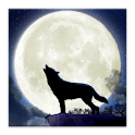 Howling Wolf Live Wallpaper apk