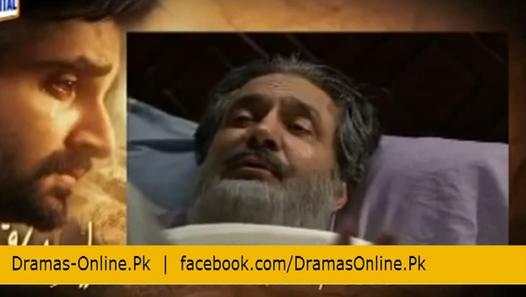 Pyaray Afzal Episode 36 Promo in HD