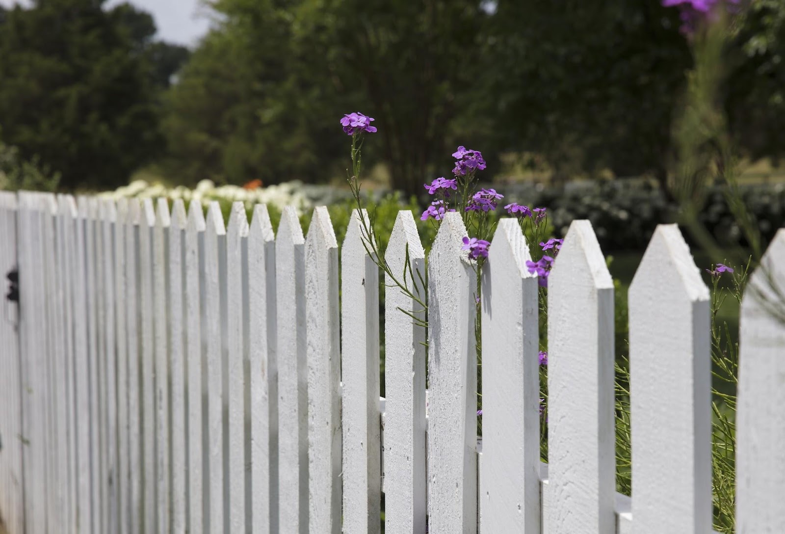 garden fence