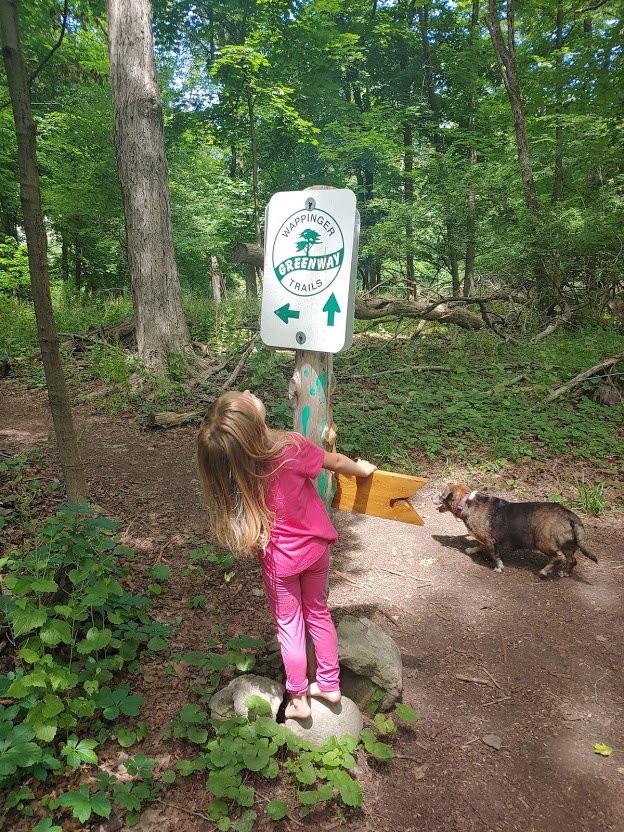 Explore Greenway Trails In Dutchess County